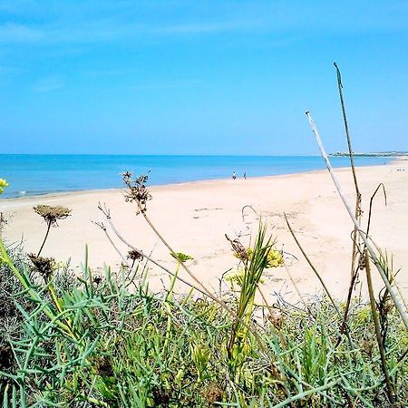 Cala Vigliena Il Sole Negli Occhi Punta Braccetto Exterior foto