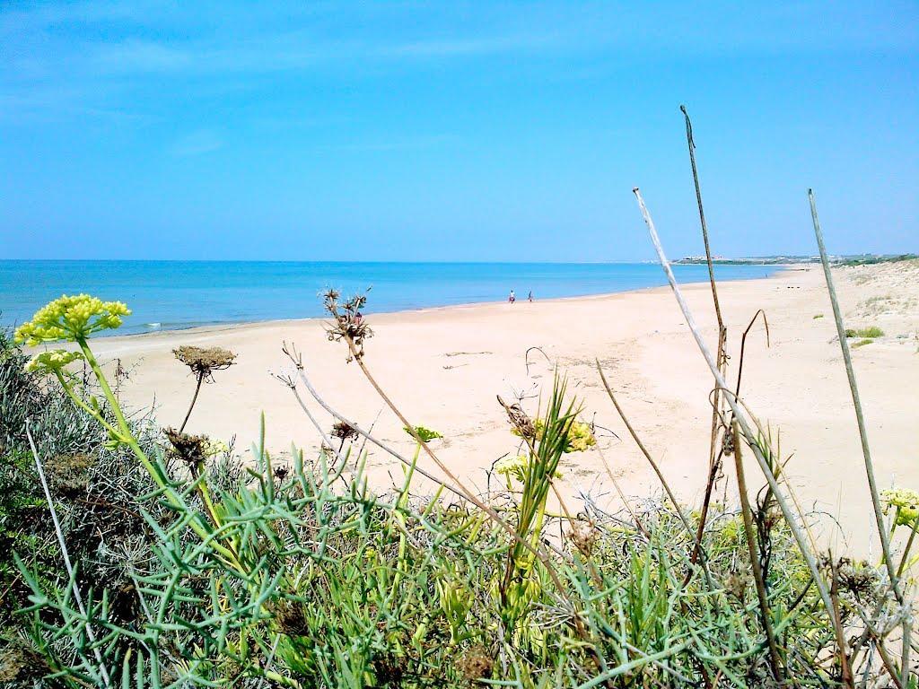 Cala Vigliena Il Sole Negli Occhi Punta Braccetto Exterior foto
